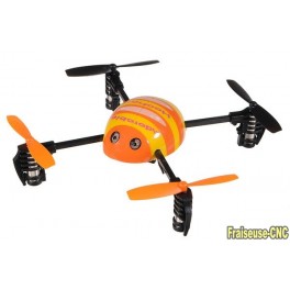 Drone coccinelle Drone coccinelle